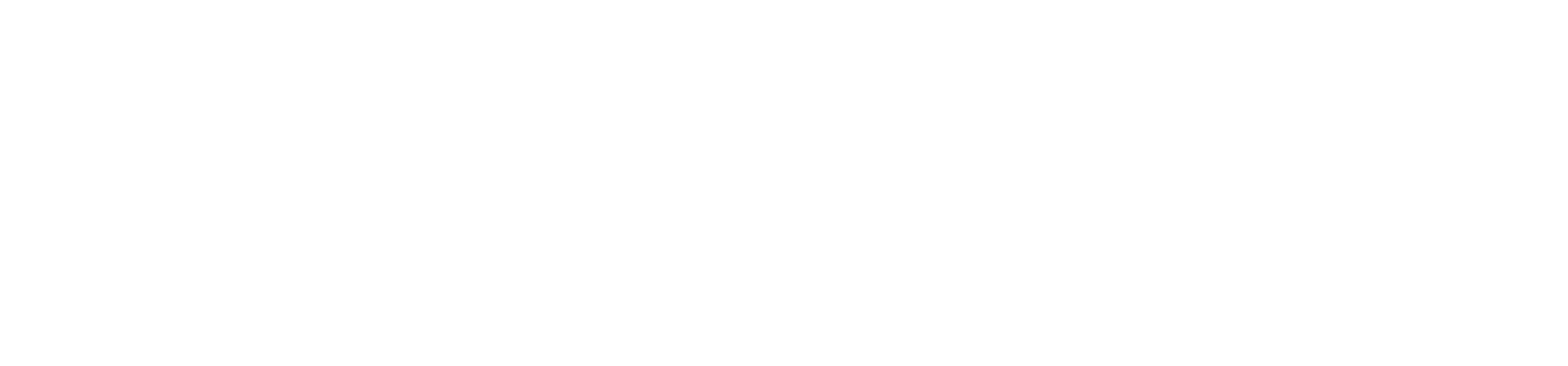 ScholarLead Logo White